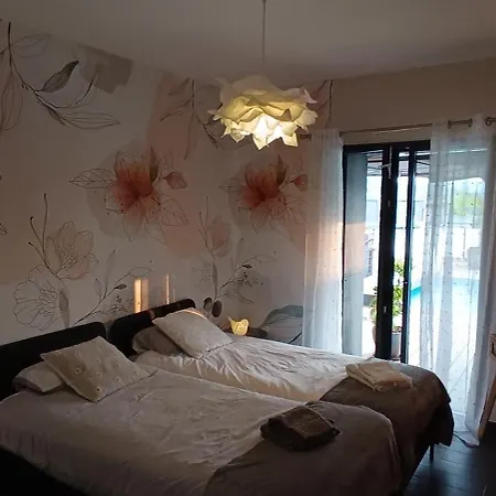 La Velaysienne 5 Etoiles Piscine,sauna, Jacuzzi *